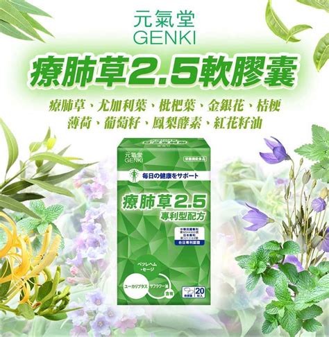 療肺草禁忌|如何使用療肺草補充提升健康 